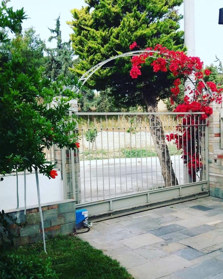 Fantastic Villa, A 5 Minute Drive From The Beach! Athen Eksteriør billede