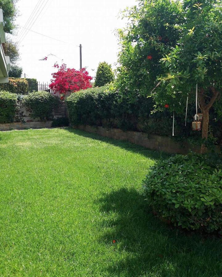 Fantastic Villa, A 5 Minute Drive From The Beach! Athen Eksteriør billede