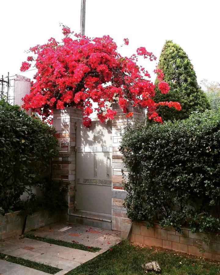Fantastic Villa, A 5 Minute Drive From The Beach! Athen Eksteriør billede
